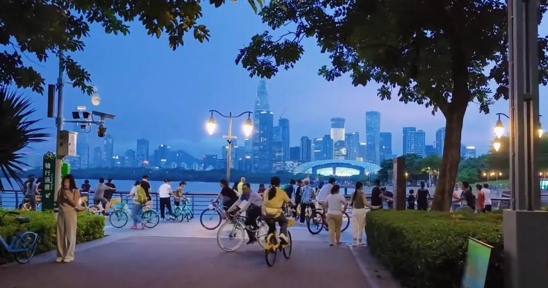 市民建议深圳湾公园装灯被拒，原因竟是怕影响候鸟休息，路灯为什么会干扰候鸟的节律？