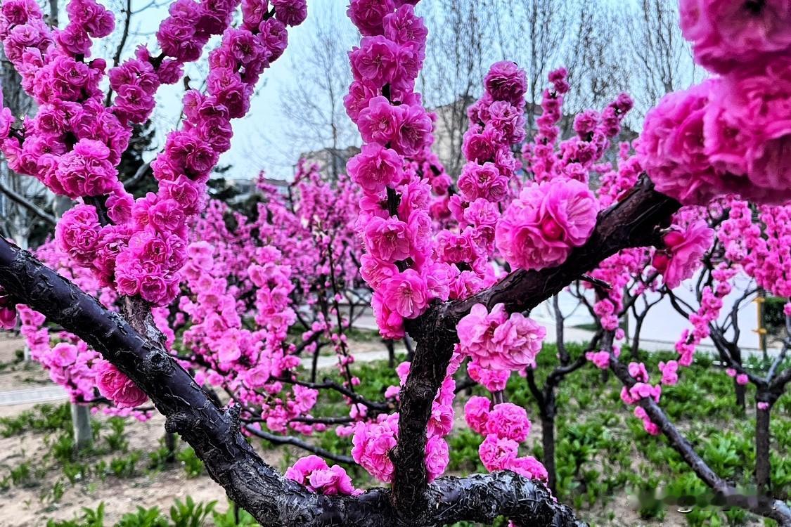 别管你信不信，未来随着AI与人工技术的发展，以及社会的进步，人们的工作会越来越轻