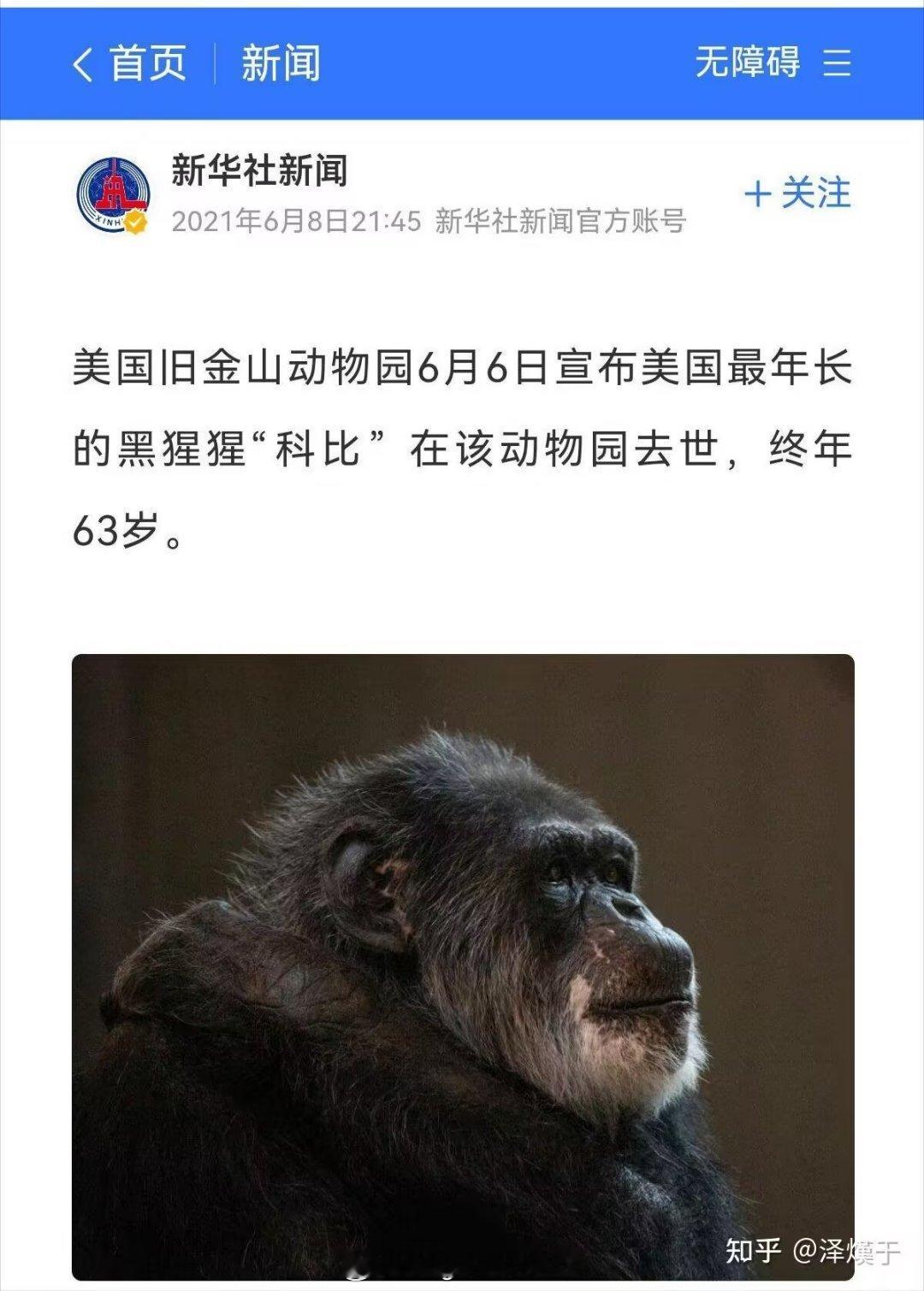 黒科比晚年 