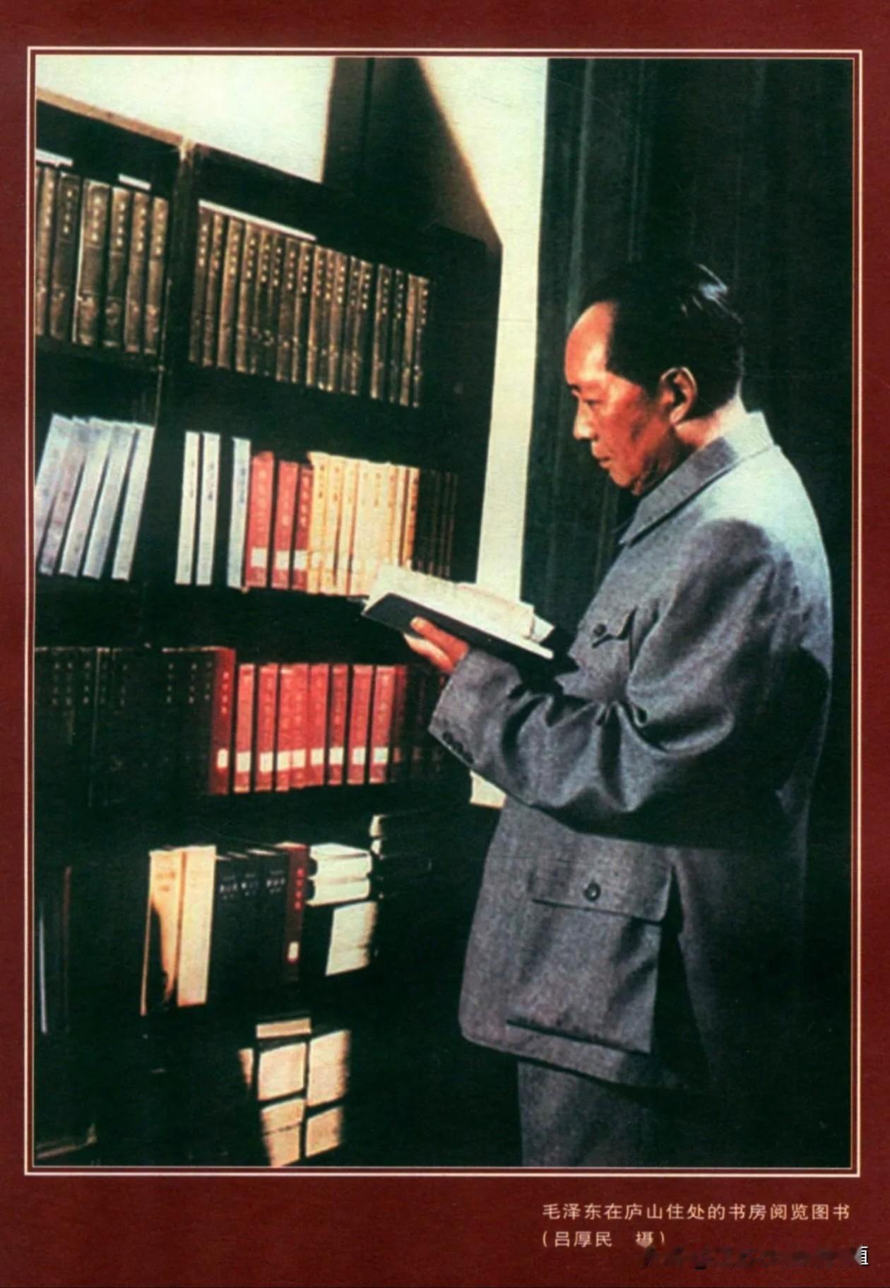 在庐山住处的书房里，
毛主席凝神捧书细读。
身旁书架典籍林立，
沉浸于书卷之中，