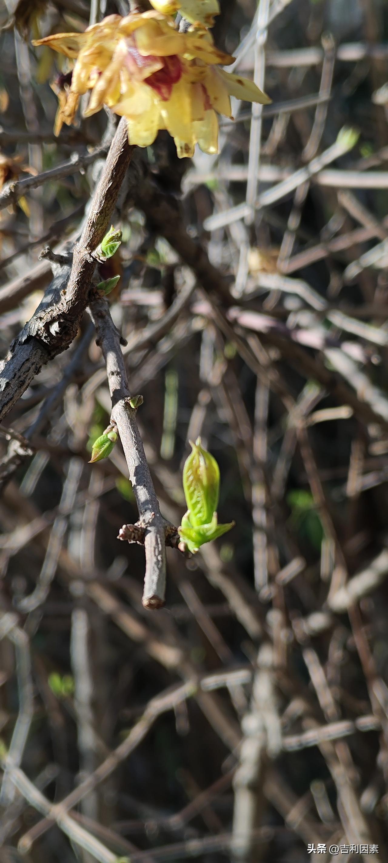 世界上唯一绝对公平的，是啥？生死，目前看来还是无法逾越的坎。这是绝对公平的，不是
