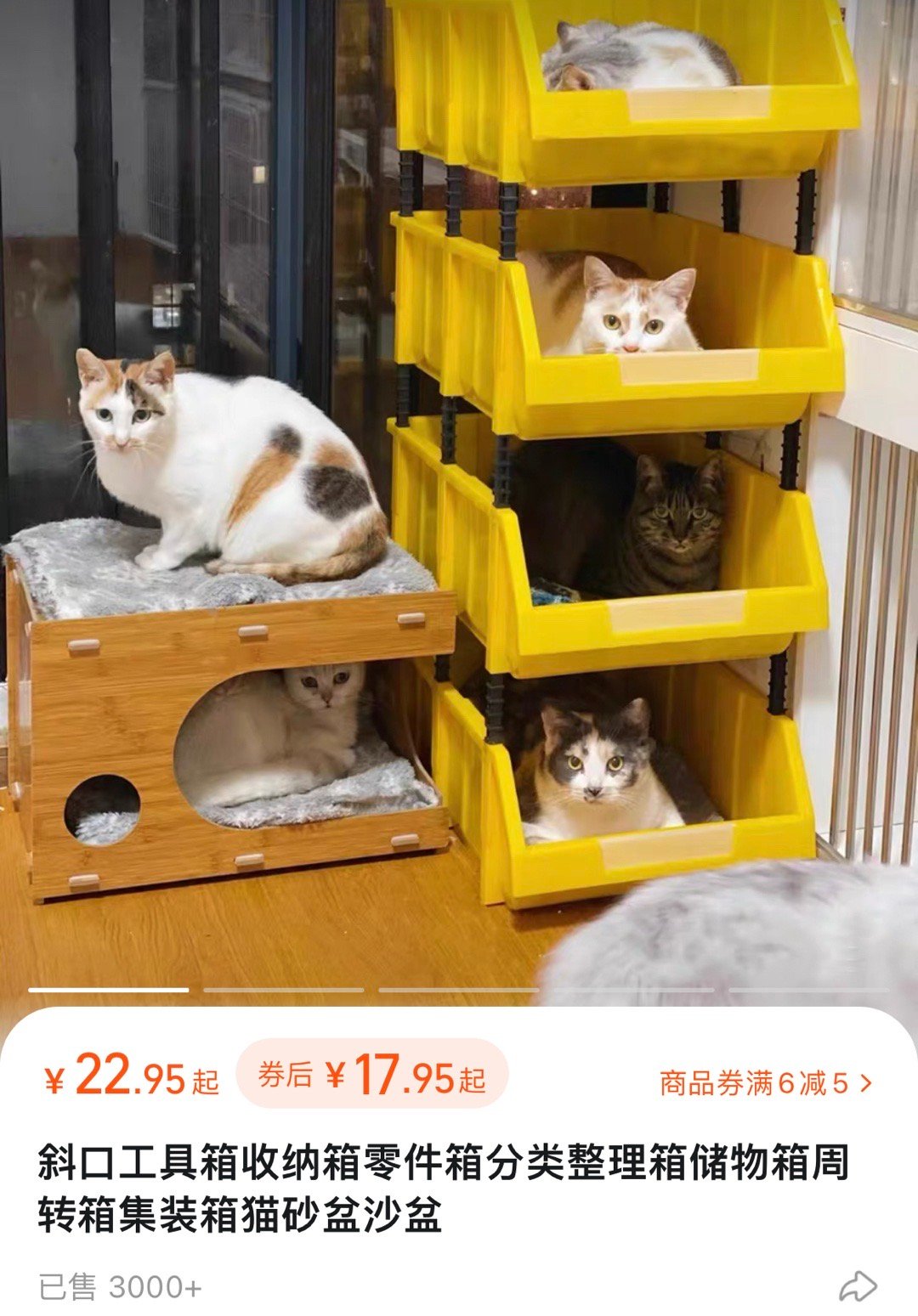 啊啊啊啊把我可爱坏了[泪] ​​​