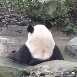 晴天风爱玩国际