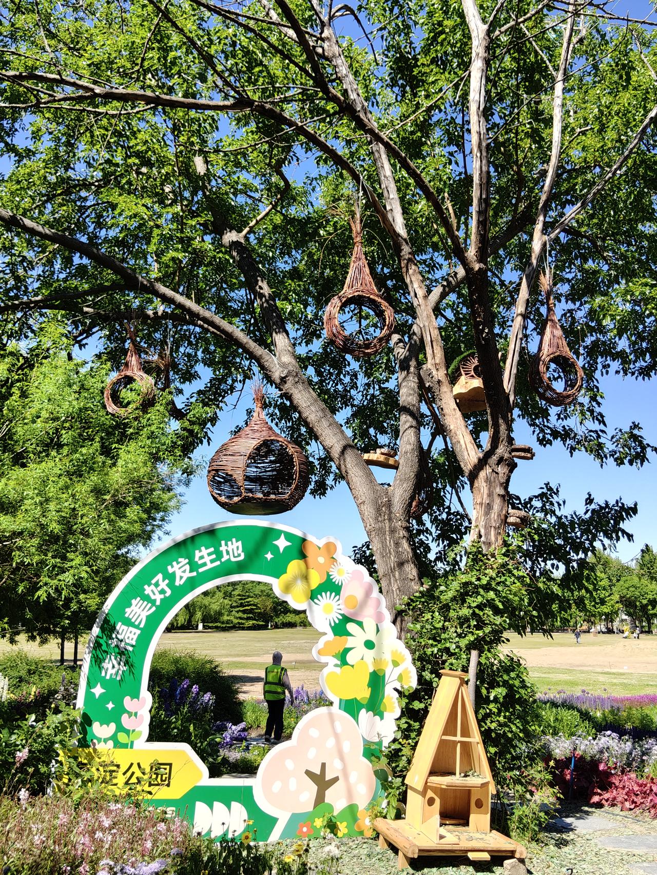 好友芳姐三天前，邀请我参加她们今天的群活动，地点在海淀公园。我一周前挂的西苑医院