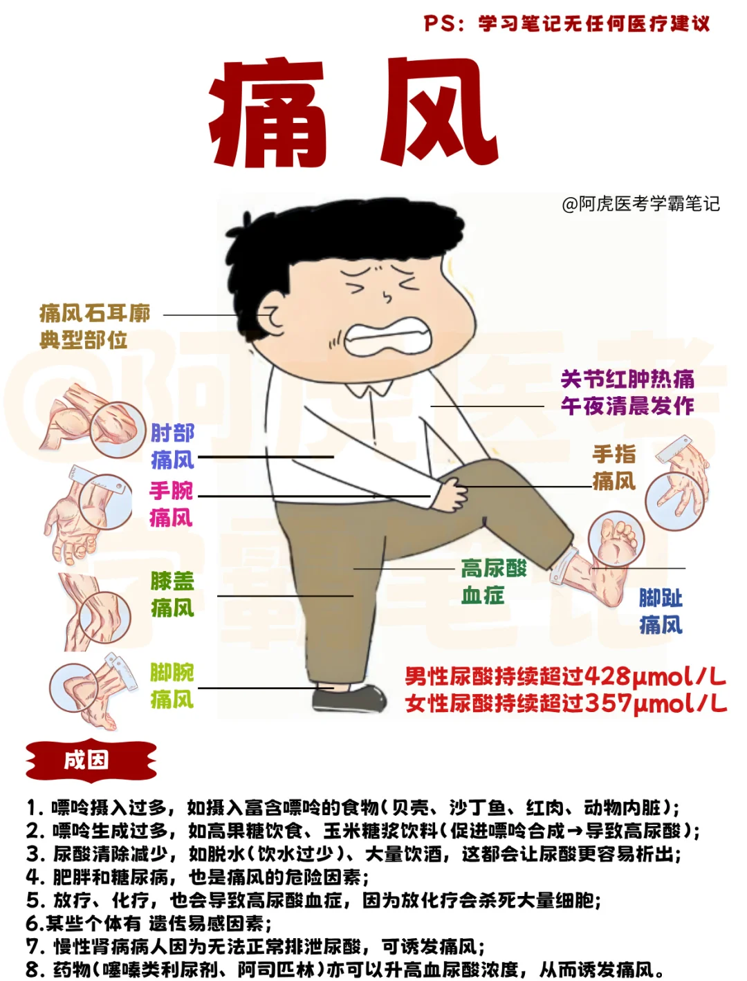 医学生笔记📒｜痛风👆