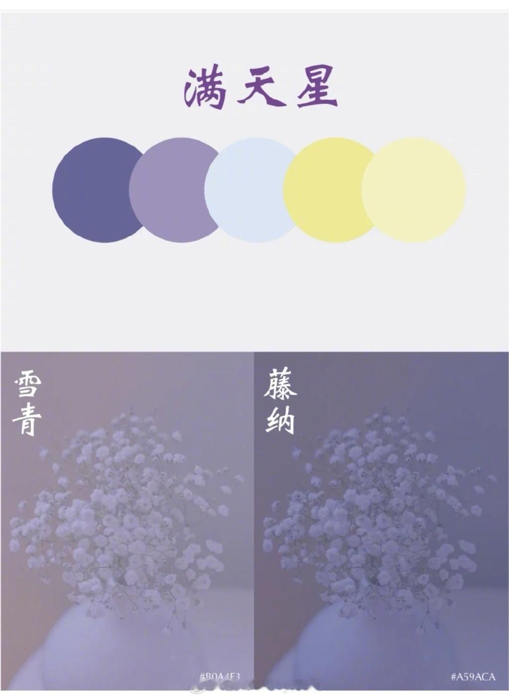 遇见艺术 紫色系 