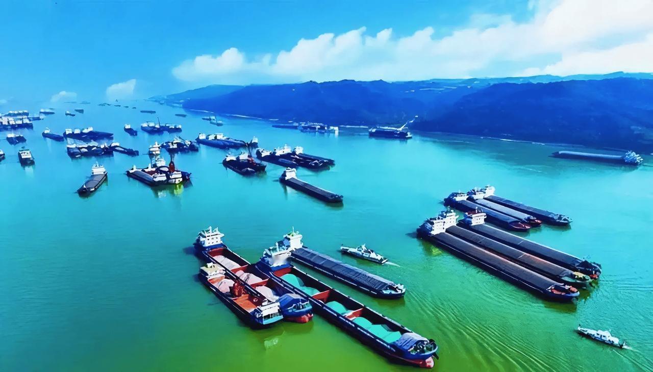 夜色笼罩五指山街巷。2月20日凌晨，海南省公安厅刑侦总队案件侦查支队副支队长陈淼