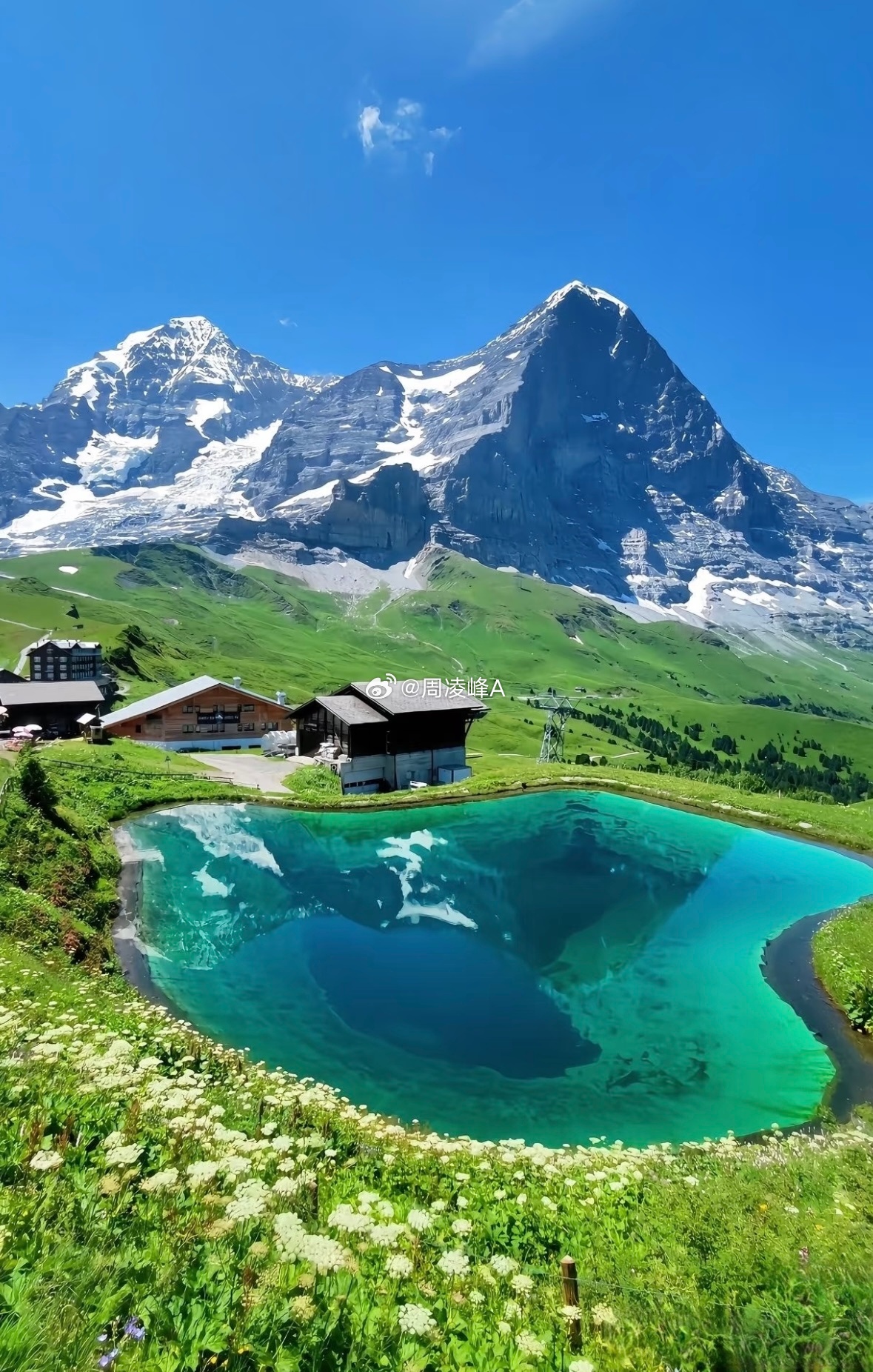 把烦心事丢掉，腾出地方装鲜花每日一善阳光信用