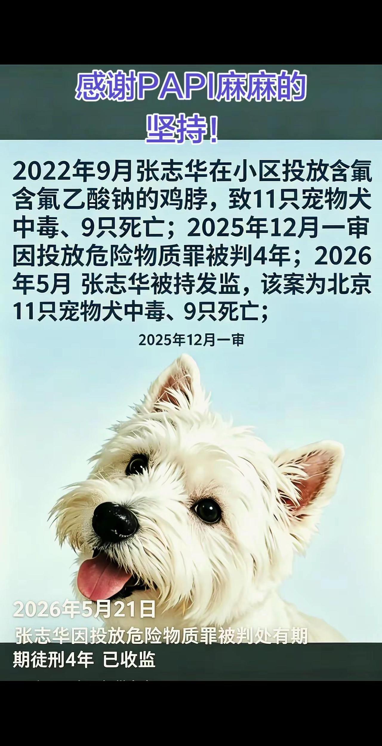 青岛人民发来贺电🙏🏻终于等到了🙏🏻