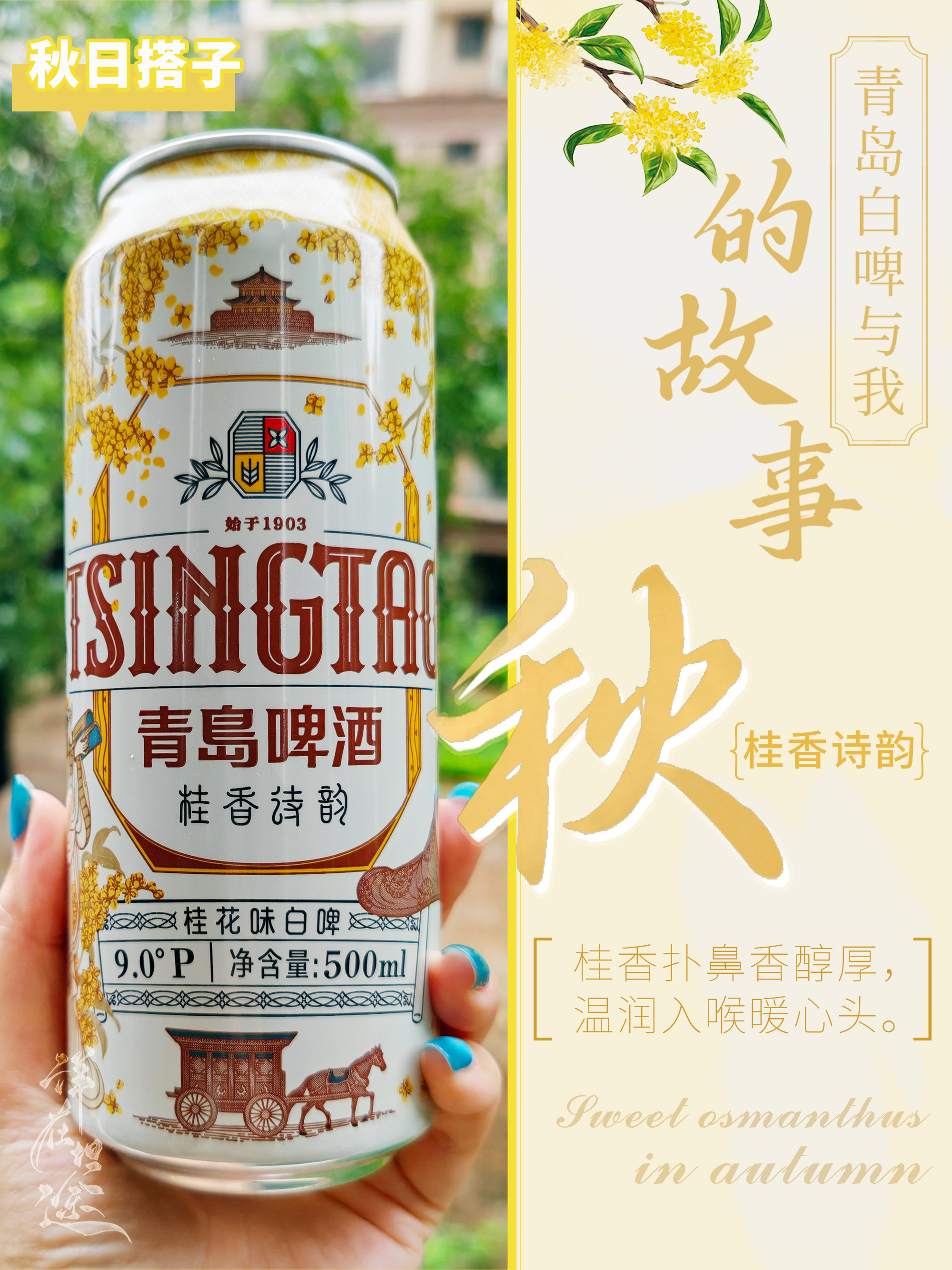 青岛啤酒白啤我的生活美学白啤更懂夏的嗨2026夏天的快乐，是《雨霖铃》展昭 + 