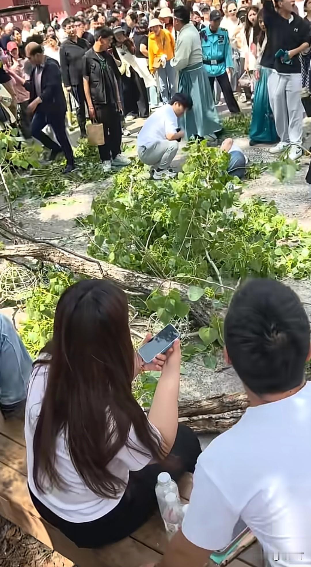 河南开封万岁山景区被大树砸伤的4名游客真倒霉，成千上万个游客去那玩儿，偏偏他们几