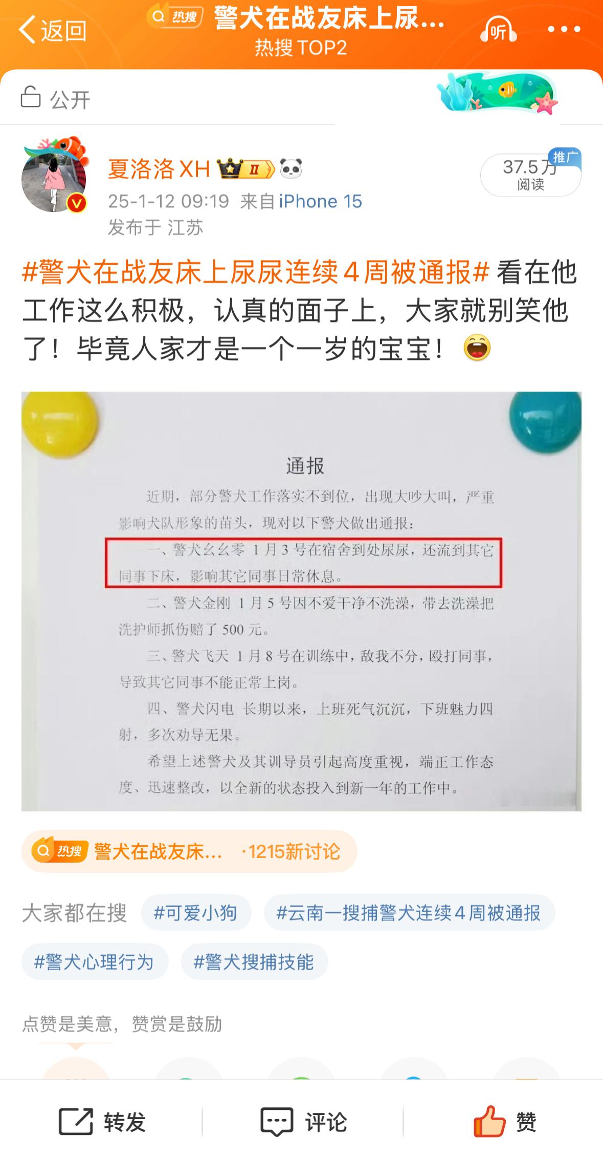 这位博主直接抄我的文案，一字不改，连标点符号都不改，私信他不回，投诉他，他居然拉