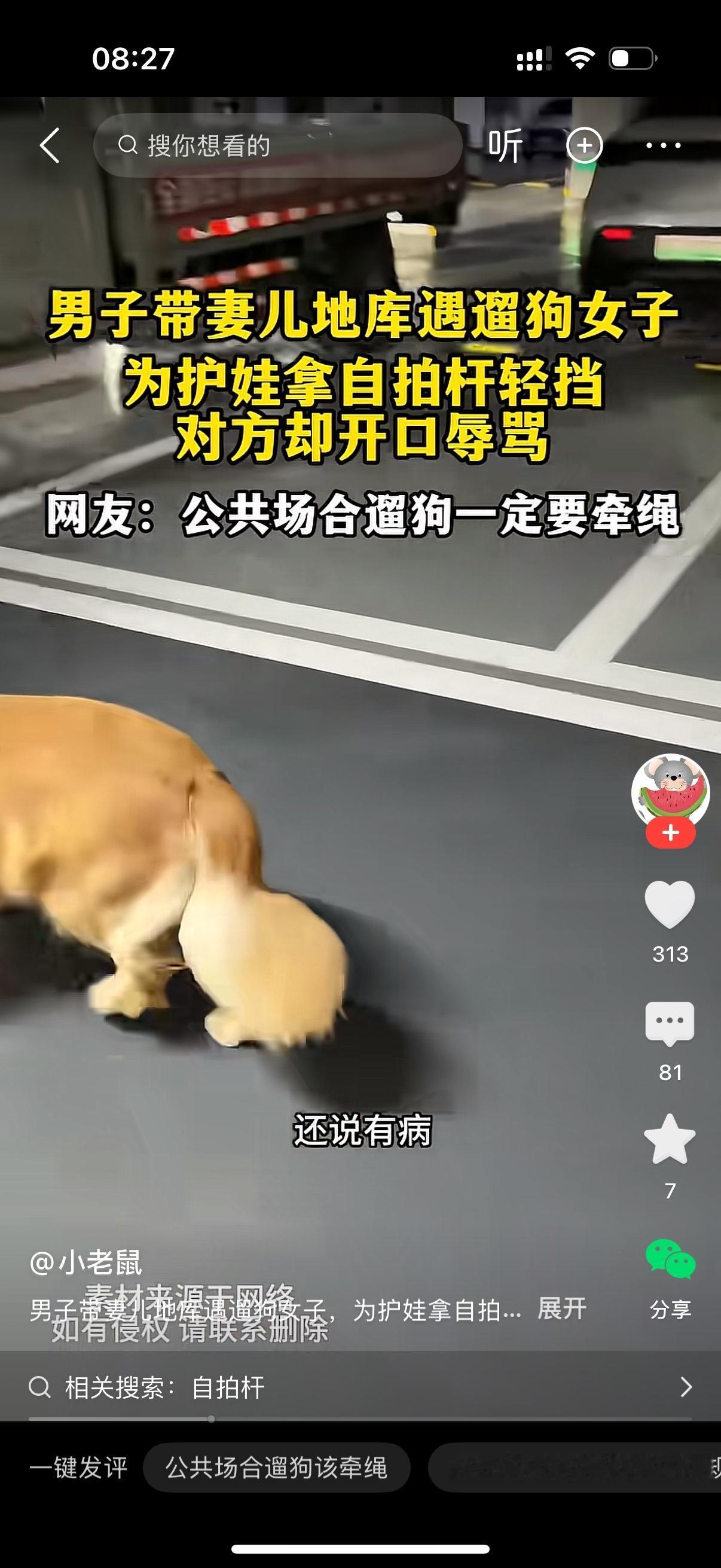 在地下车库里，一个男人带着老婆孩子走路，迎面碰到一个女的，牵着两条大狗，一条金毛