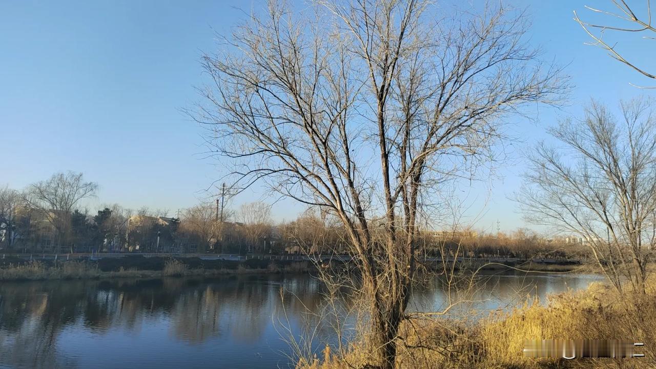 春早