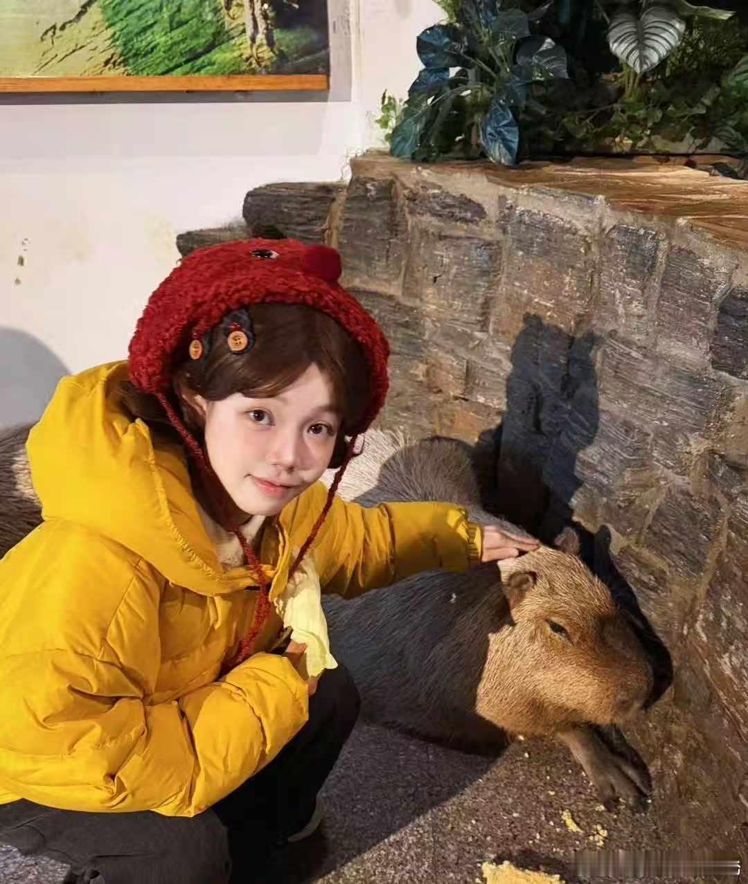 52 位喜剧新人齐聚一堂也太让人期待了！还有阎鹤祥、谢娜这些实力前辈坐镇，既能看