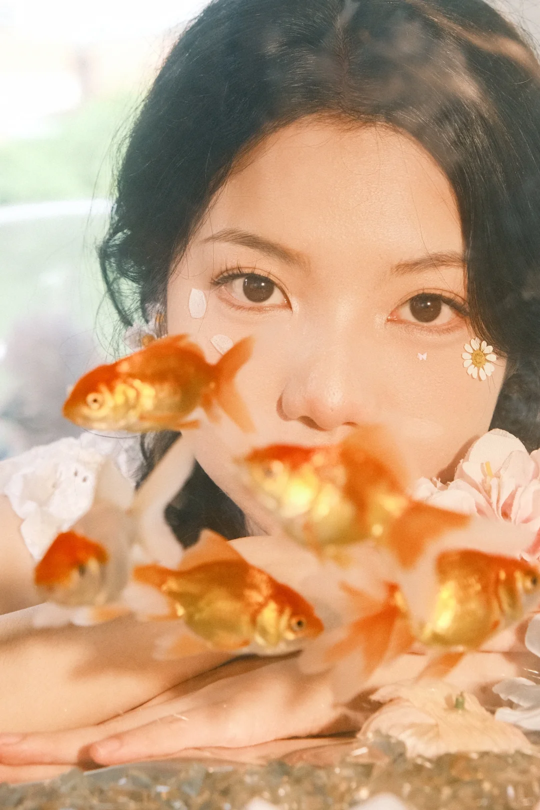 🎞️胶片🫧金鱼