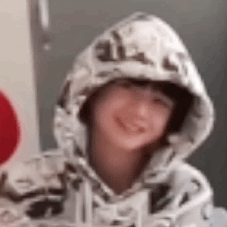 朱志鑫  每日一小猪