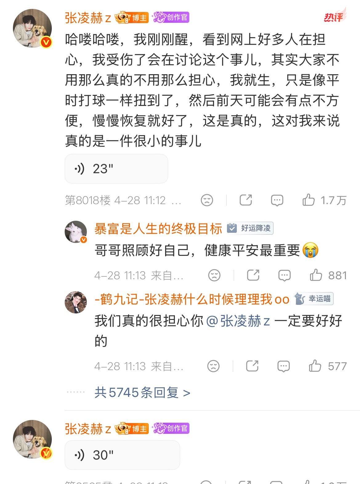 张凌赫自己出来解释了 往下一划还发了一串的语音 哥哥好酥