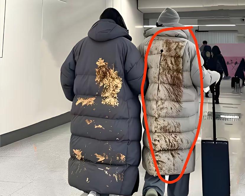 活了大半辈子了，

没见过这么埋汰的人儿！
一后背的泥汤子都发霉了还敢穿出门。