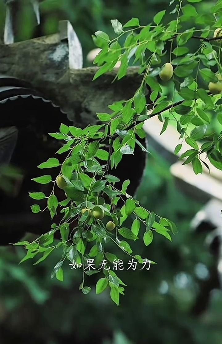 人生没什么不可放。
弘一法师。
今天分享的是：人生没什么不可放下。生命中许多事情