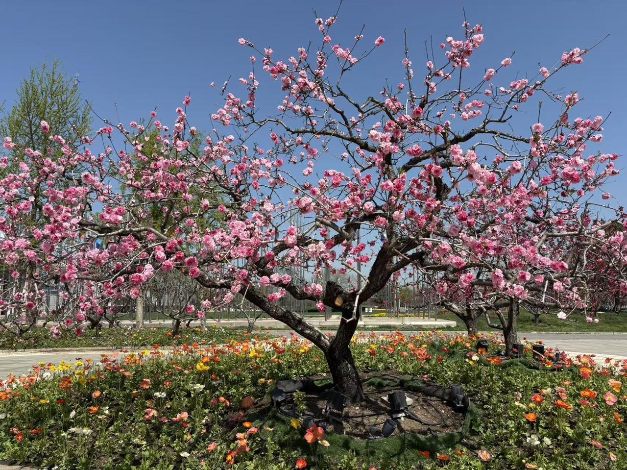 晒图笔记大赛 晒图笔记大赛也太有趣了！刘令姿和徐梦洁都参与进来分享图片啦。不知道