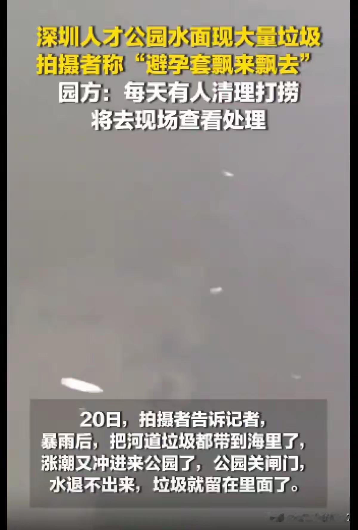 深圳人才公园水面出现大量垃圾，包括避孕套等漂浮物，主要是暴雨与潮汐共同作用的结果