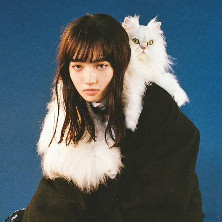 小松菜奈 / 猫系少女与猫 