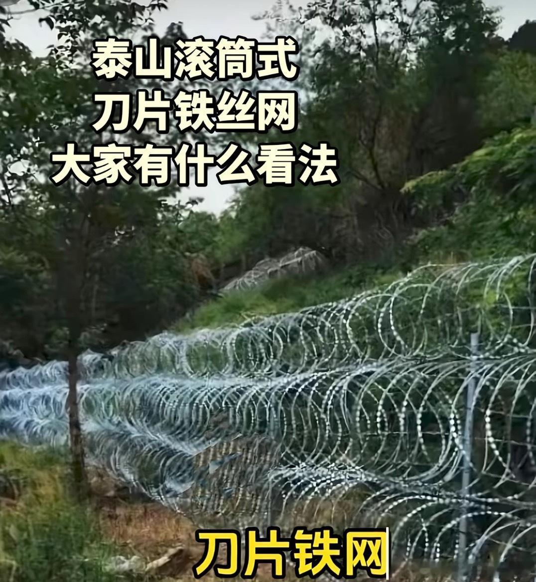 泰山疑被135公里刀片铁丝网围住打着防火防控的名义，泰山周边铺就135公里刀片刺