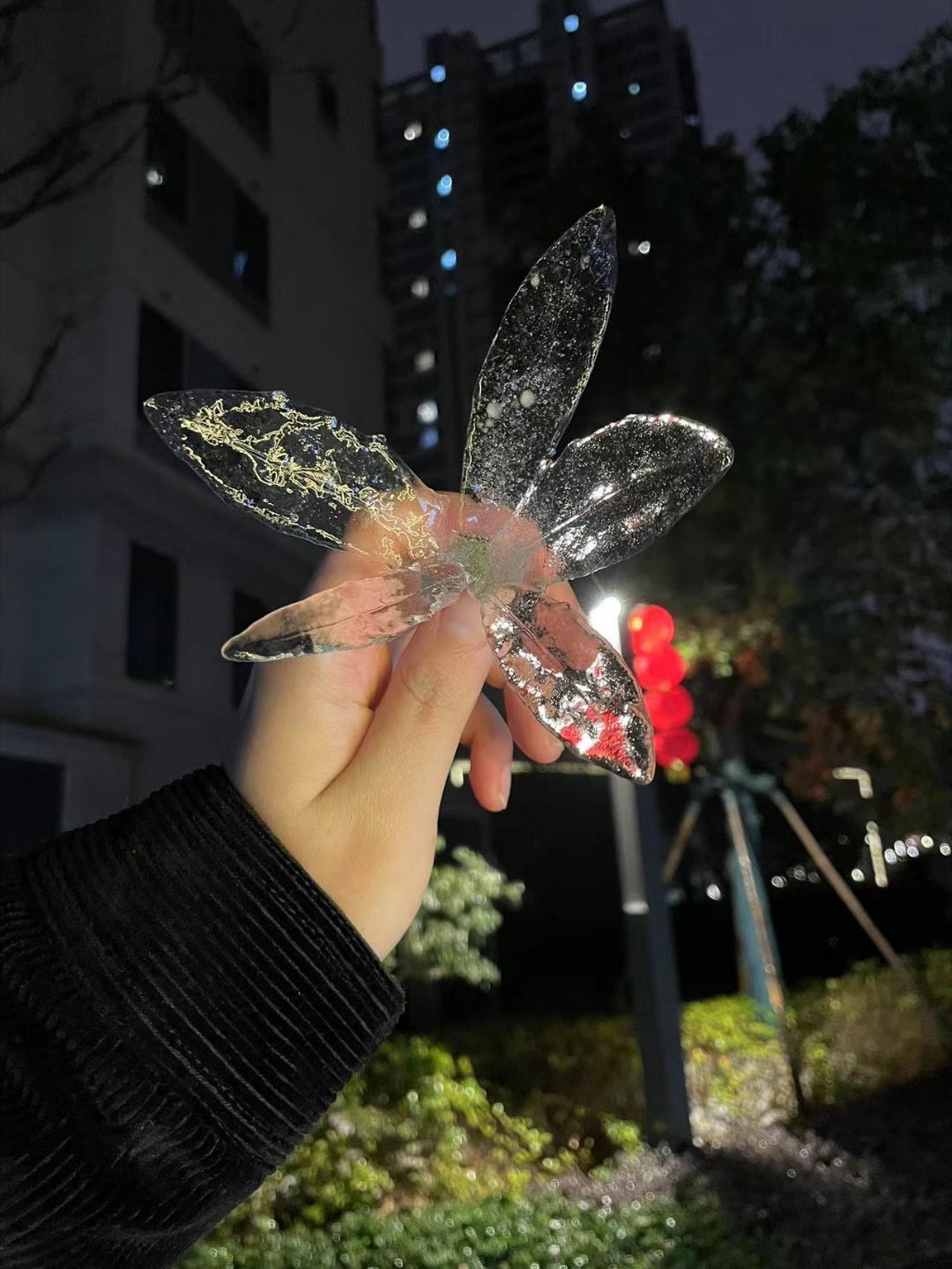 晚安[哈哈]癸卯年的尾巴。 ​​​