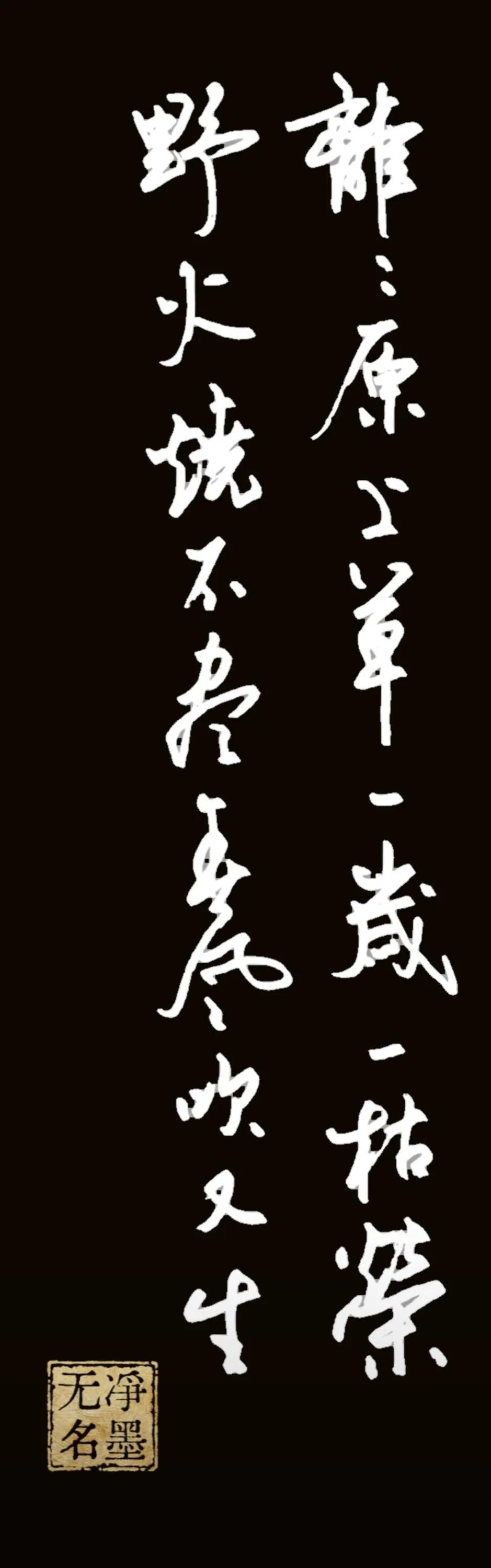 经过坚持不懈的努力，将这支钢笔的笔尖调整到了这种程度，写出的效果看着比较柔和了。