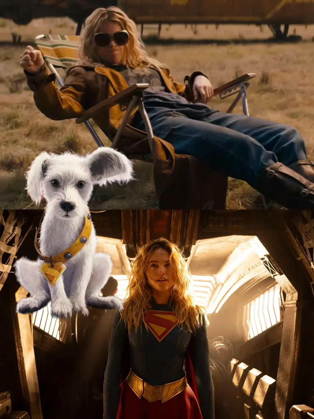 超英终于不是救世主了！而是铲屎官🐶