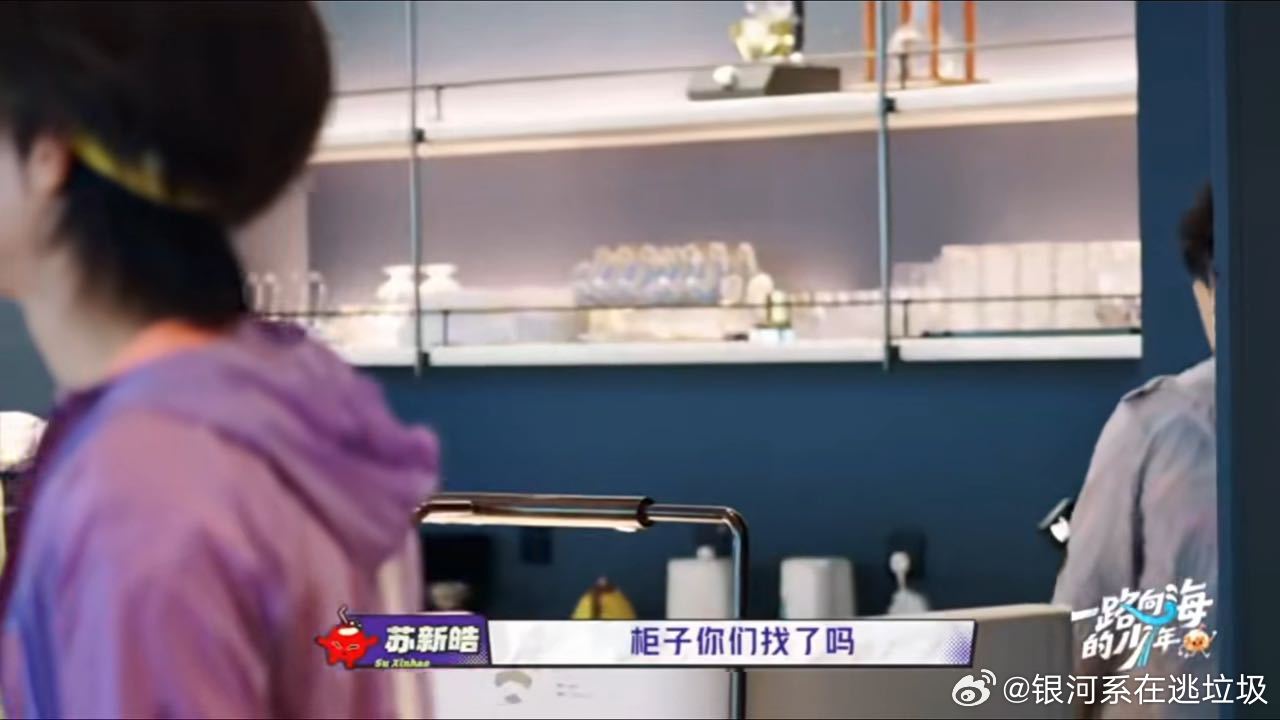 苏新皓不语只是一味地找柜子我做无用功就苏新皓这样一路向海的少年 小苏找宝藏盒子太