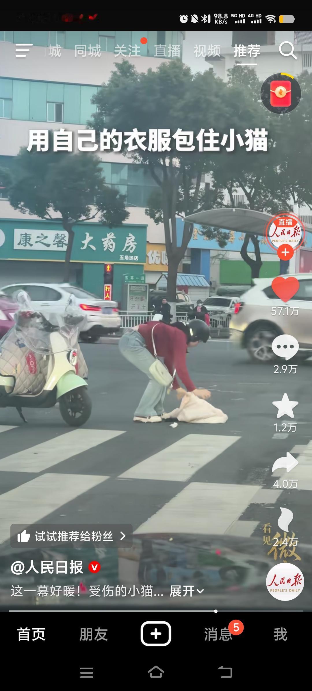 善良的女子路遇一只受伤的猫咪，再车流中穿梭，随时都有危险发生，这位女子停下电动车