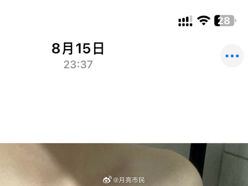 上一次修剪森林是两个月前了 ​​​