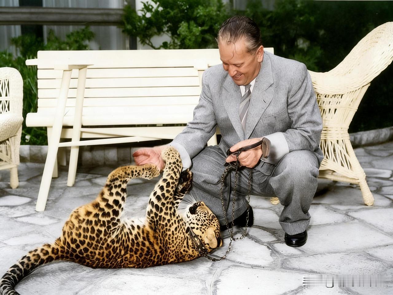 铁托和他的宠物猎豹。在冷战背景下，南斯拉夫领导人铁托的奢华生活成为其传奇的一部分