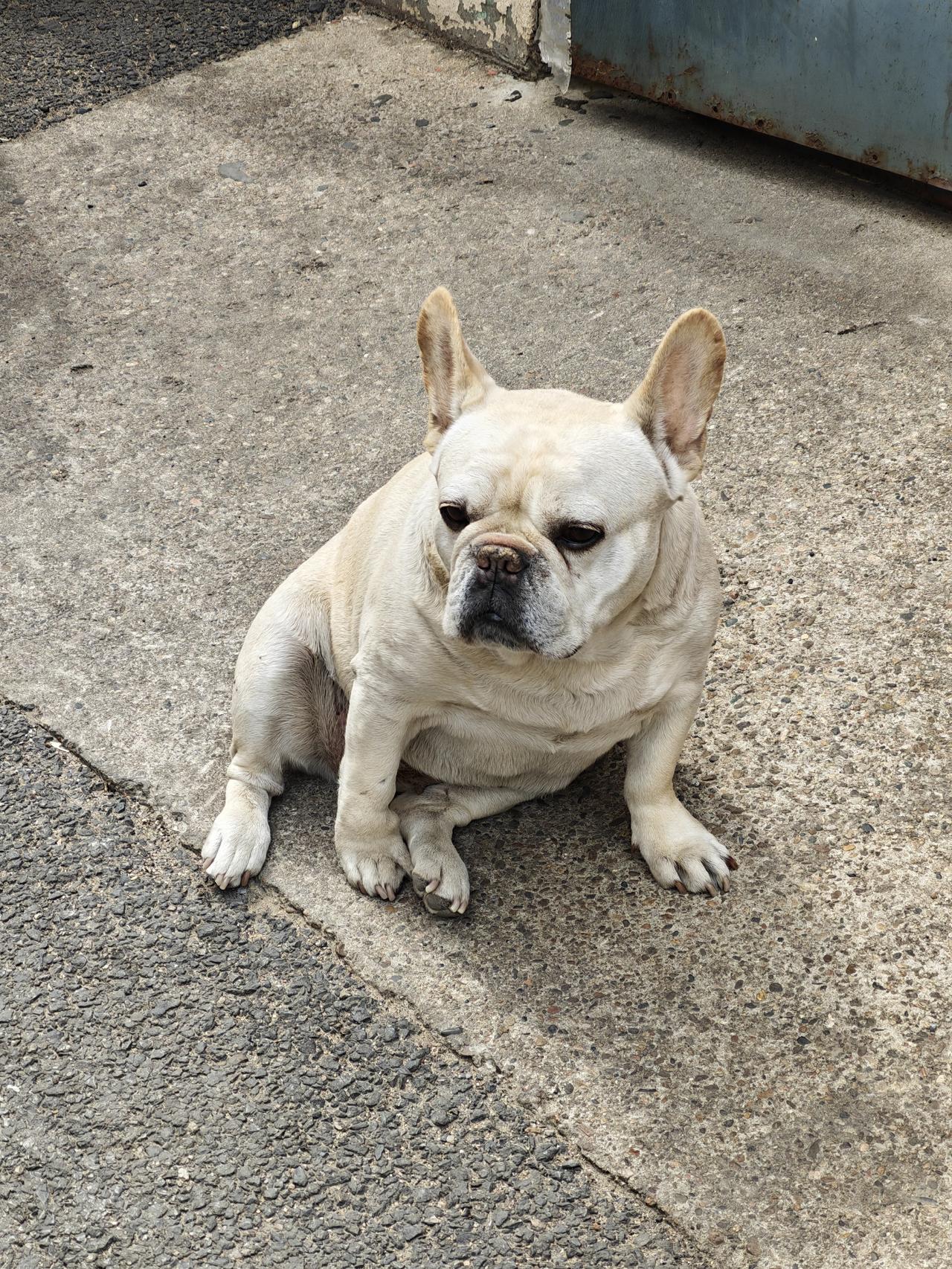 春日生活打卡季哥俩好！