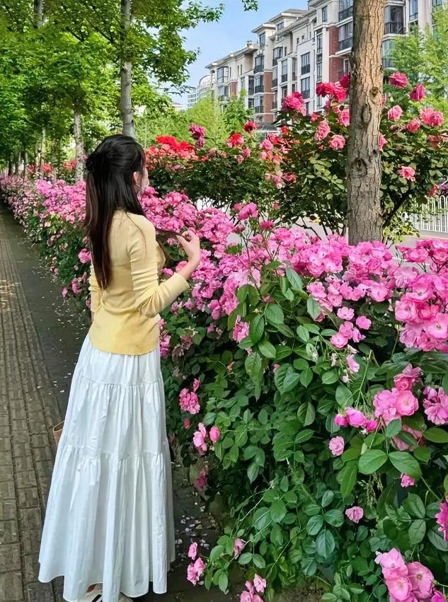 读书润心，渡己识人知进退