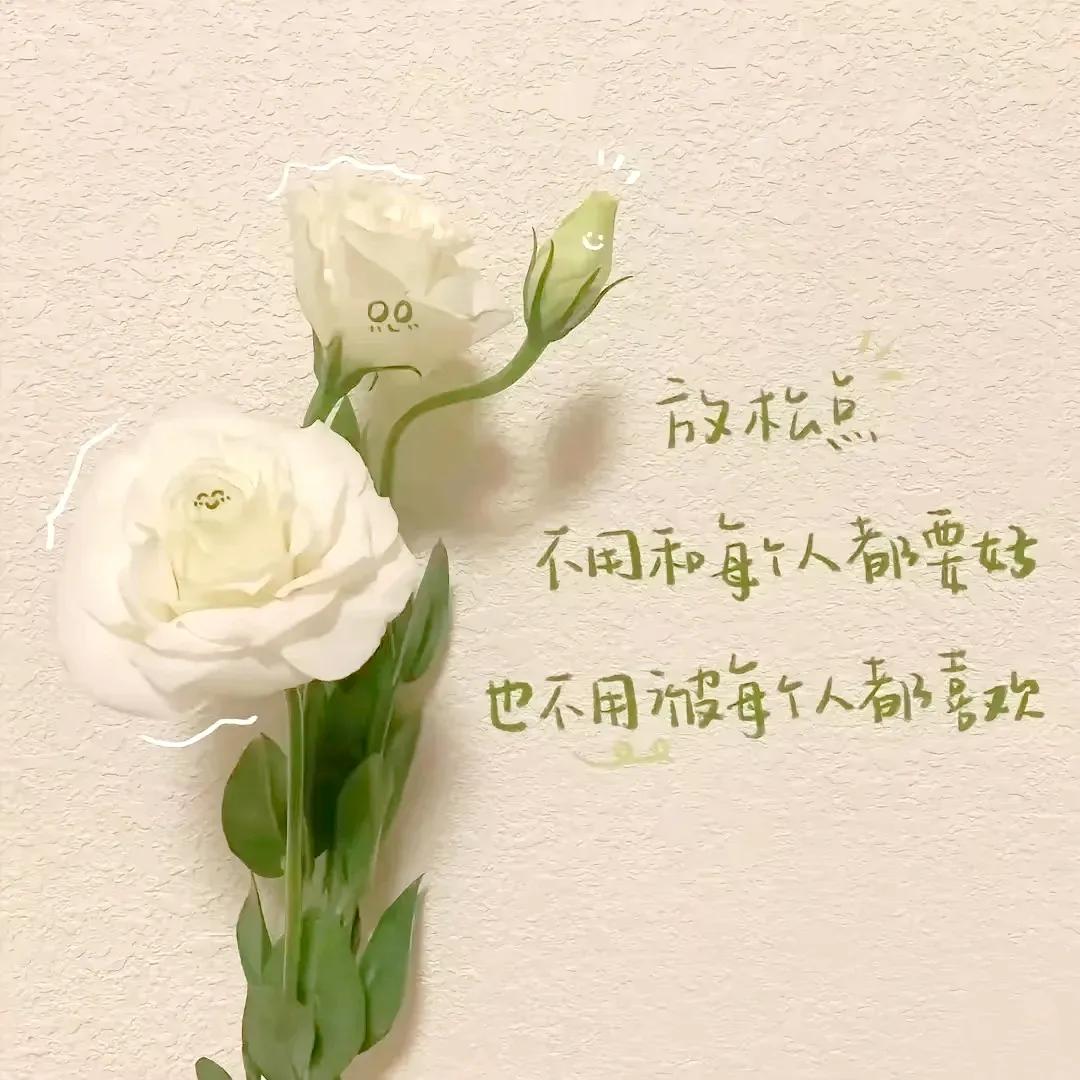 很喜欢的一段话：
人活着，
最好的心态是平静，
最好的状态是简单。
最好的感觉是