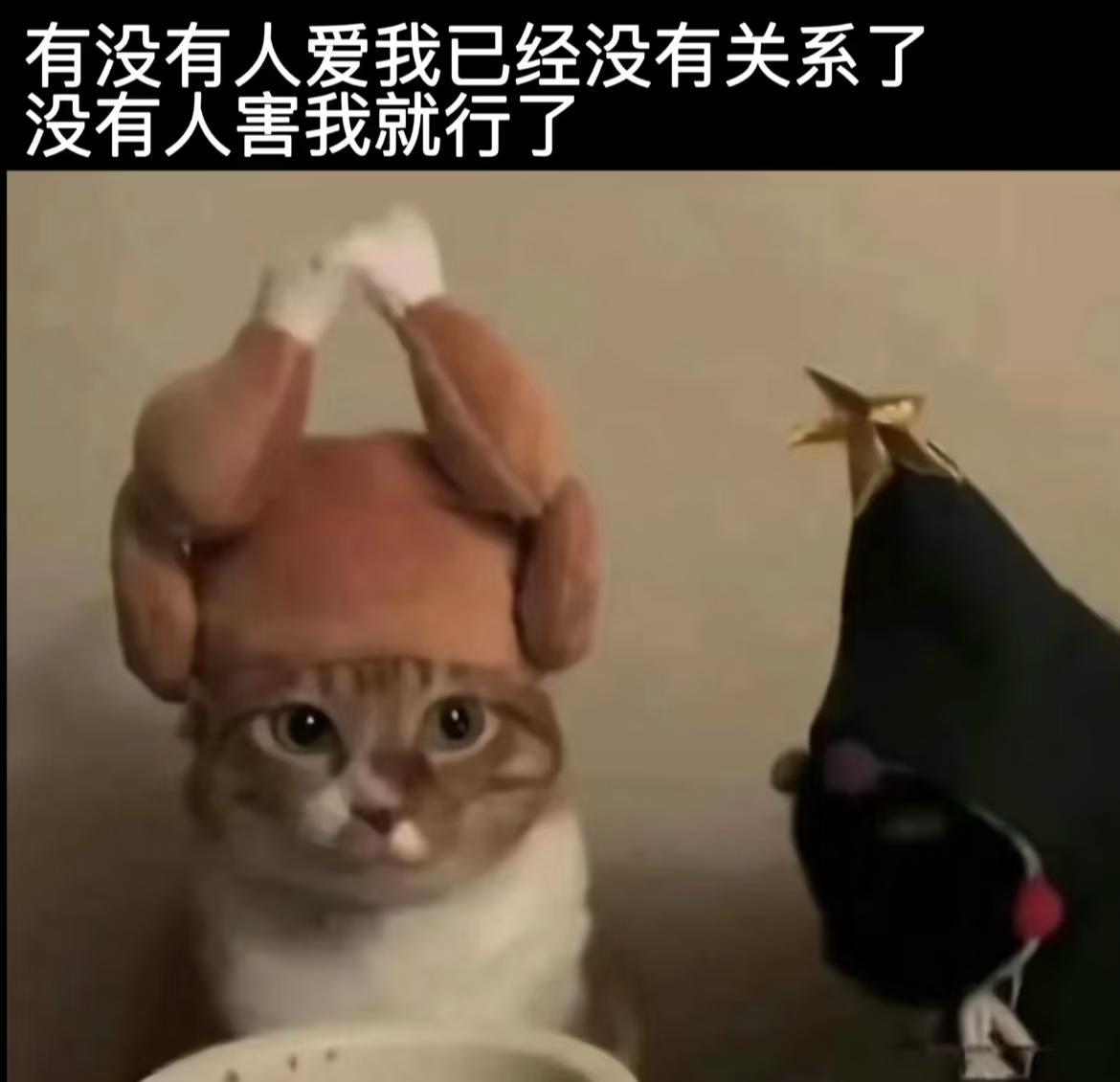 合理
此图有梗 我乱套的精神状态 梗图