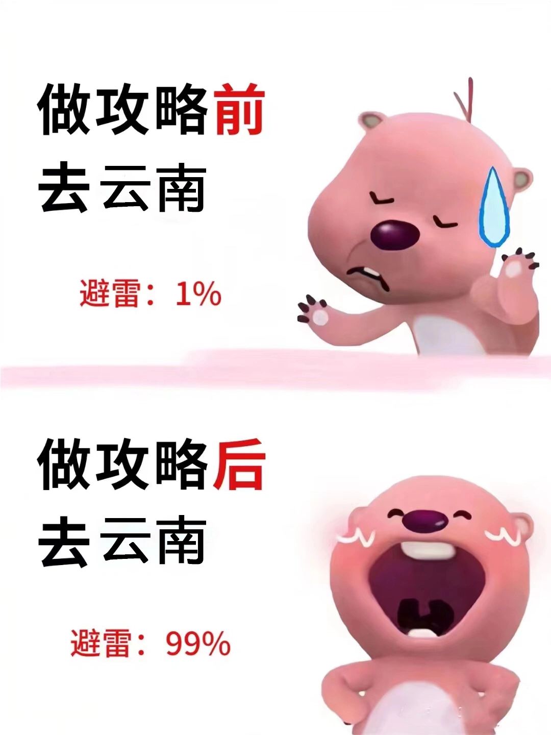 送给10-11月第一次来云南得姐妹👭