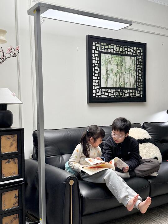 低楼层的阴天｜安全感是大路灯给的💡