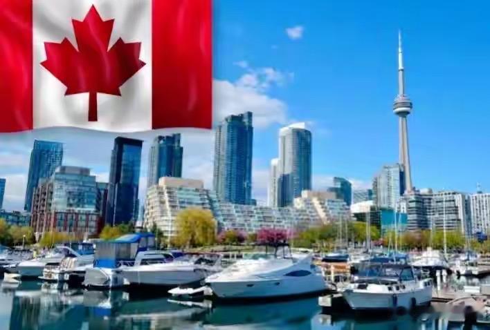 据《多伦多星报》报道，在首届 Canada Impact+ Research T