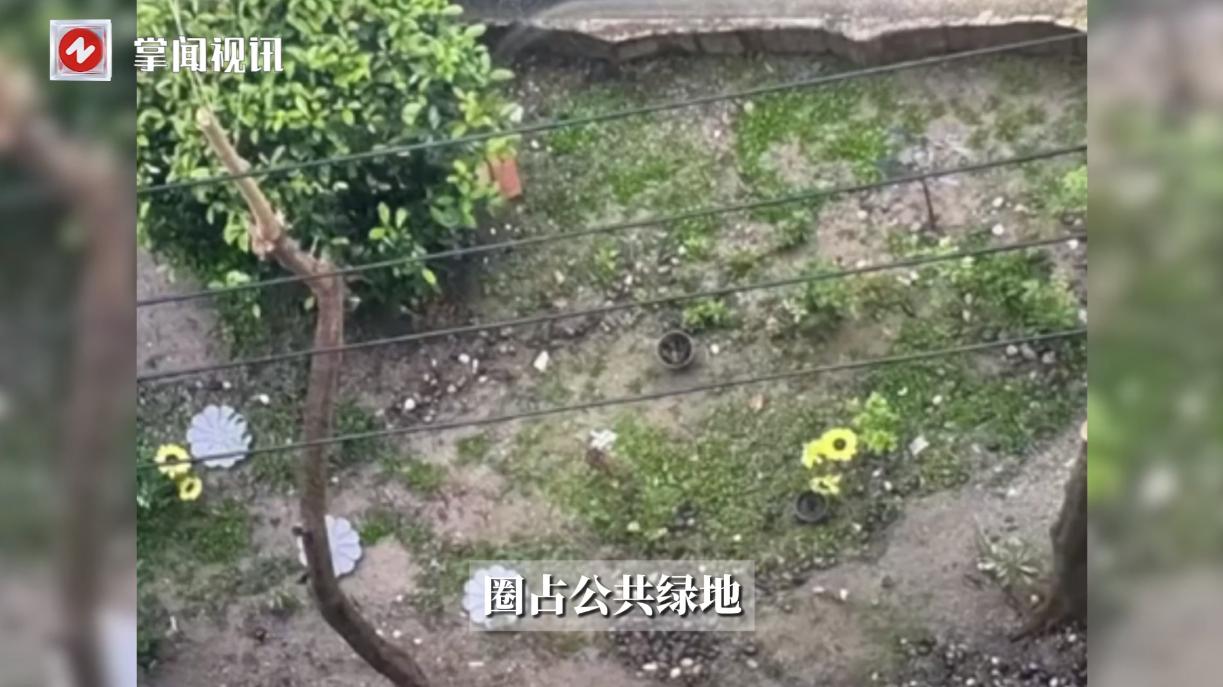 “彻底解释不清了！”上海，一女子因为投诉了一楼的邻居违规圈占公共绿地，造成了小区
