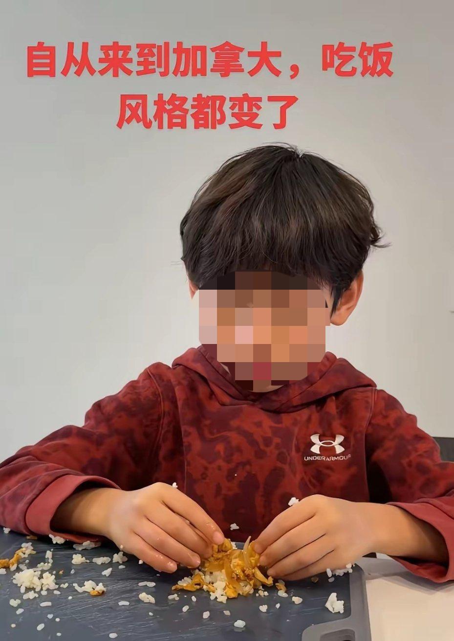 这是移民到加拿大阿三区了吧，现在用手吃饭，接下来是不是就不用纸巾上厕所了？