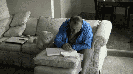 喵星人就是这样一点一点摧毁你的生活，改变你原有的计划，让你除了陪着它以外啥也干不