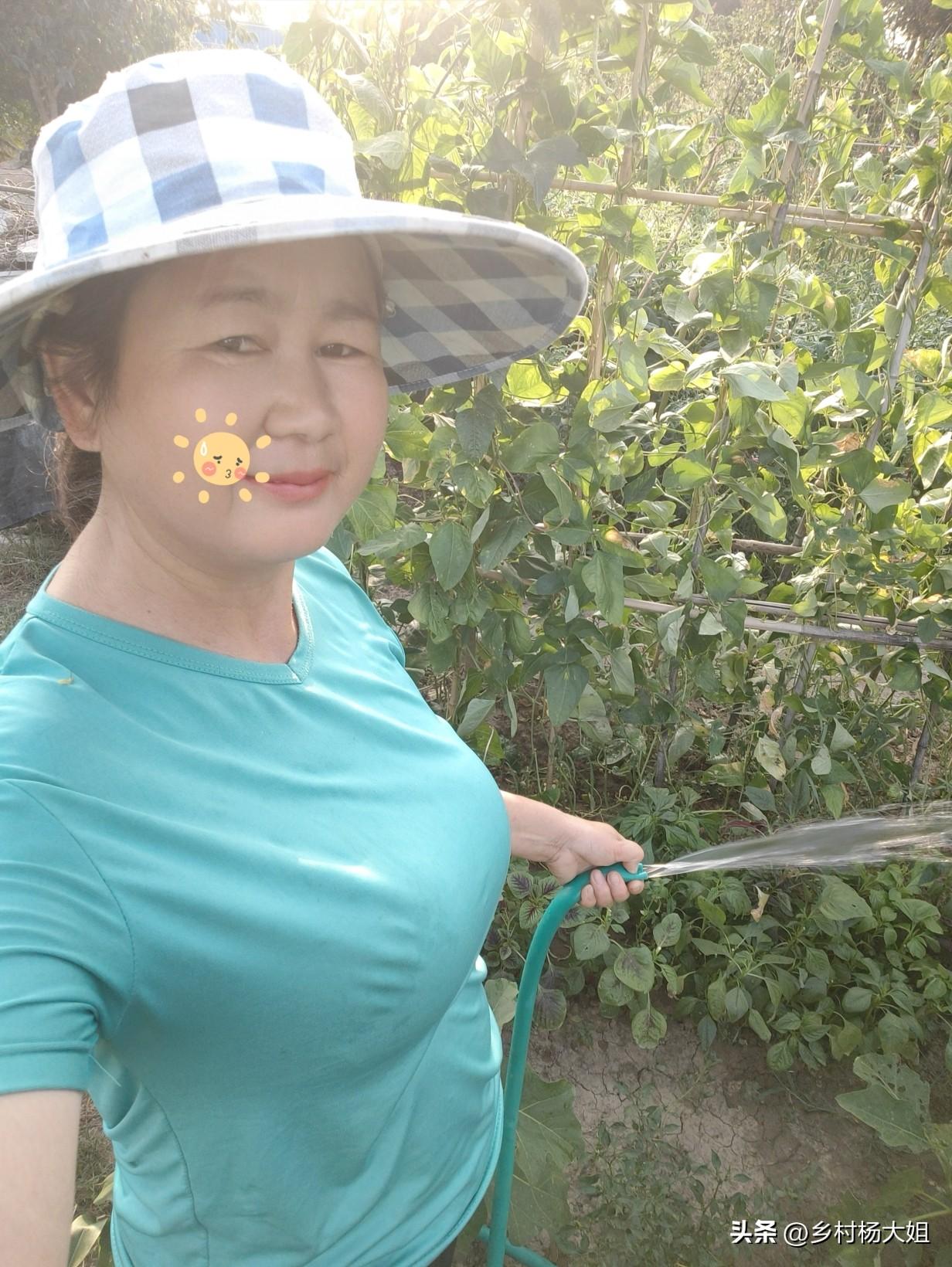 河南太旱了
傍晚5点多，太阳还很大，村民都在抗旱，我家暂时还没抗，这两天菜园里菜