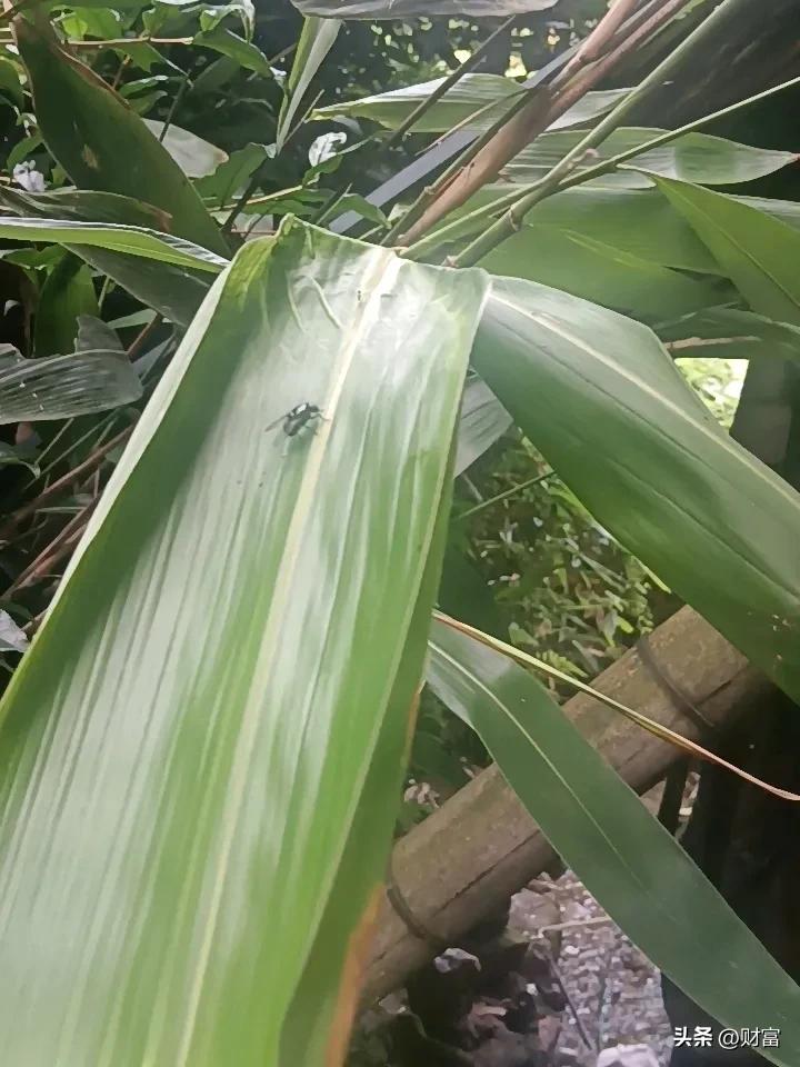 晒图笔记大赛