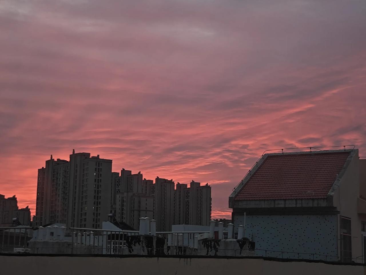 今年的冬天来的迟了些，这些天天气渐冷，人民担心气候异常的心稍微放下了些。四季的变