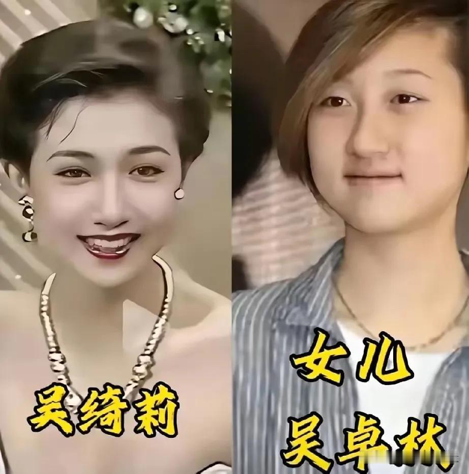 朱茵、黄圣依、蒋勤勤、刘芸、张庭、胡慧中、吴绮莉，七位女星和女儿同框，基因这东西