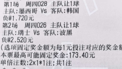阿豪世界杯：No.1028 世界杯 墨西哥vs韩国*让负 1-1 1-2No.2
